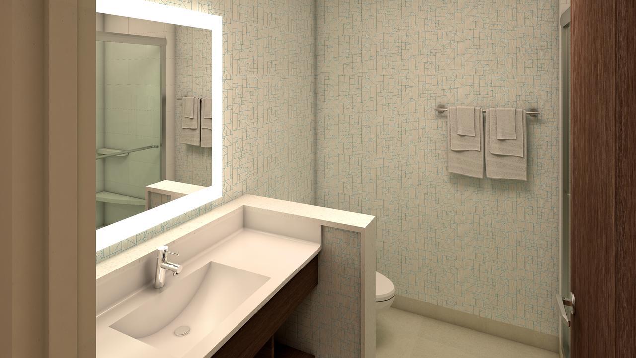 Holiday Inn Express & Suites Atlanta N - Woodstock By Ihg Zewnętrze zdjęcie